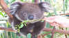 Marapana Wildlife Park