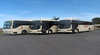 Goolwa Bus and Coach