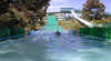 Kalamunda Wet N Wild
