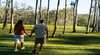 Tondoon Botanic Gardens