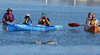 Adventure Kayaking SA