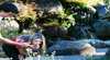 Australian National Botanic Gardens