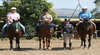 Forest Park Riding and Equitation School