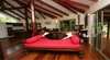Daintree Secrets