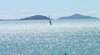 Affordable Whitsunday Accommodation and Cruises