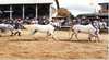 Charters Towers Show