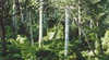 Lind National Park