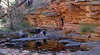 Alligator Gorge