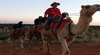 Uluru Camel Tours