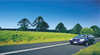 Great Bunya Drive
