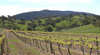 Bartagunyah Estate