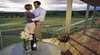 Scenic Rim View Cottages