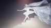 The Australian Ballet