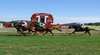 Wellington Boot Carnival