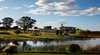 Willow Tree Estate