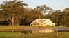 Madigan Vineyard
