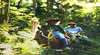 Clarendon Forest Retreat Horse Riding