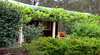 Misty Glen Cottage