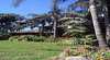 Beach Haven Motel
