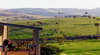 Spring Creek Retreat