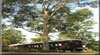 Krinklewood Train Carriage Cottages