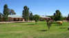 Narrandera Caravan Park