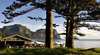 Pinetrees Resort Hotel
