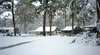 McPhersons Plains Alpine Retreat and Caravan Park