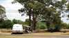 Dunedoo Caravan Park