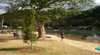 Patonga Beach Caravan and Camping Area
