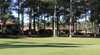 Tallwoods Verve Resort