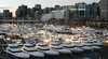 Sydney International Boat Show 2009