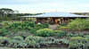 Corianders Tea House & Herb Gardens