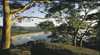 Ocean Beach Umina