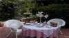 A Winter-Rose Cottage Bed and Breakfast