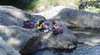 Hinterland Tours