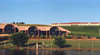 Turners Vineyard