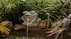 Dolphin Sands Bed and Breakfast Jervis Bay