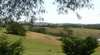 Ballantine Estate