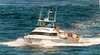 Ocean Star Fishing Charters