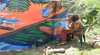 Djanbung Permaculture Gardens