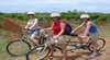 Grapemobile Bicycle Hire