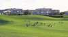 Le Meilleur Horizons Golf Resort