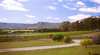 Catherine Vale Wines