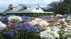 Emmas Cottage Vineyard Accommodation