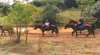 Sugarloaf Horse Centre