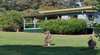 Depot Beach Cabins and Camping