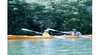 Ballina Kayak Tours