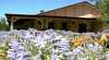 Morvern Valley Guest Houses