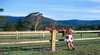 Big Bell Farm